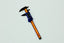 Caliper