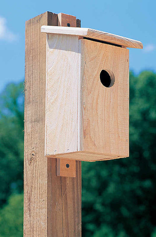 Nestbox- Small Bird