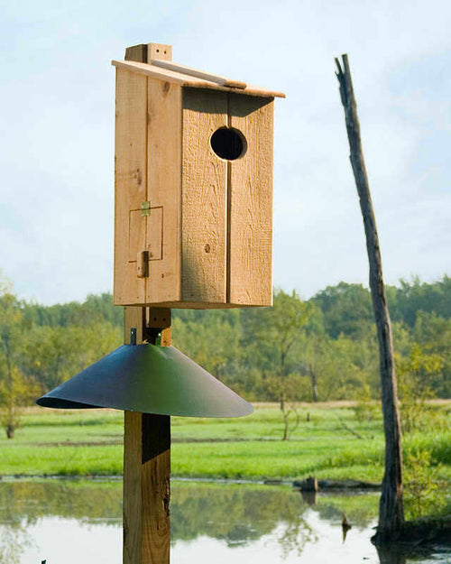 Nestbox- Large Bird