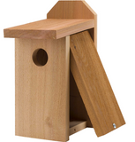 Nestbox- Small Bird